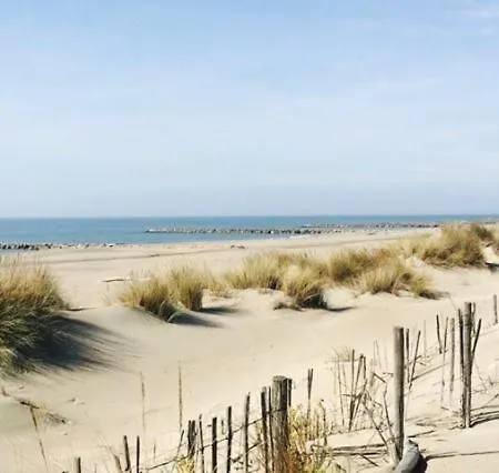 Aux Portes De La Camargue * Arles
